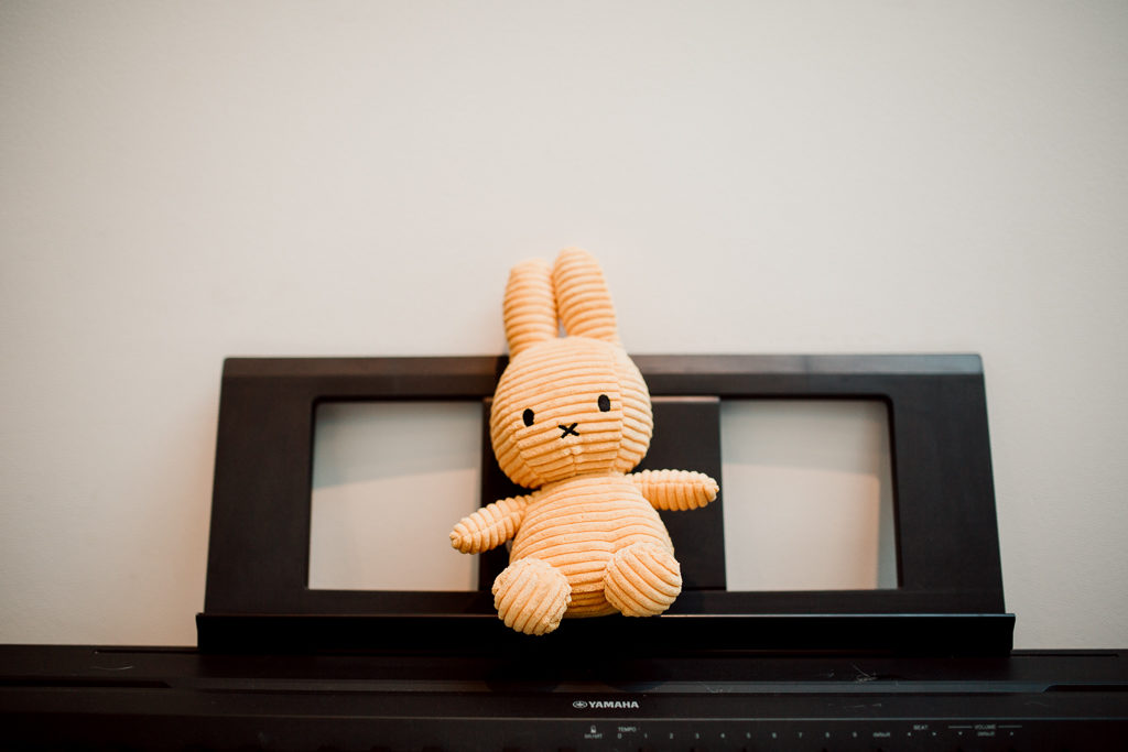 Peluche de Léon sur le piano